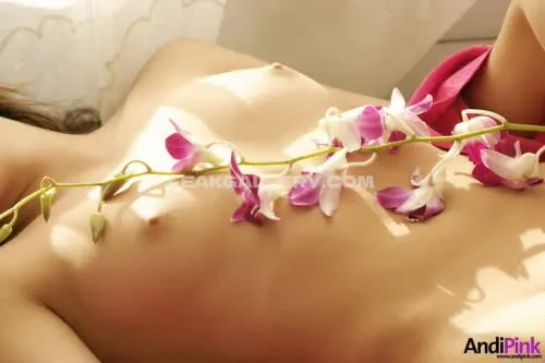 Andiland Exclusive Leaked Nude Onlyfans #1474136