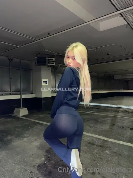 Diakimeko Exclusive Leaked Nude Onlyfans #2637323