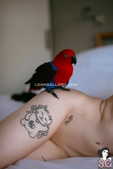 Daintywilders Exclusive Leaked Nude Onlyfans #1740038