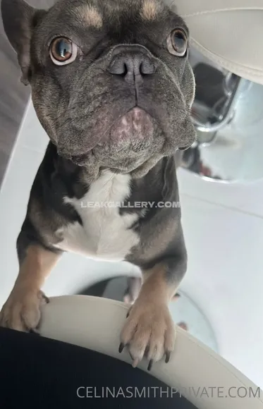 Itscelinasmith / celinasmith Exclusive Leaked Nude Onlyfans #2182516