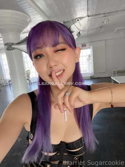 Harrietsugarcookie Exclusive Leaked Nude Onlyfans #1863005