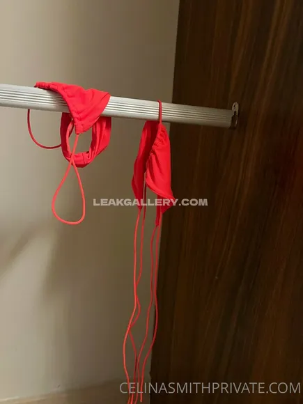 Itscelinasmith / celinasmith Exclusive Leaked Nude Onlyfans #2161707