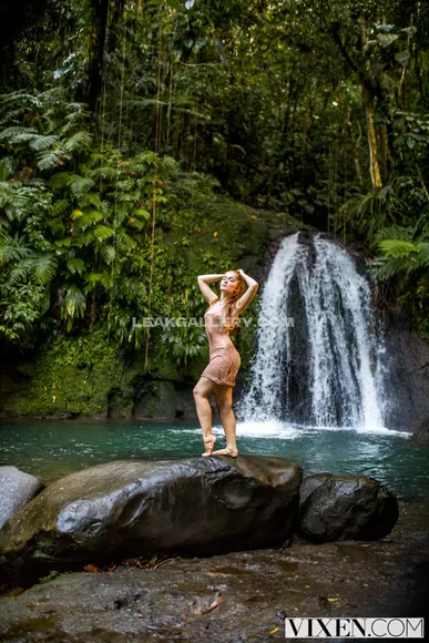 Bird Exclusive Leaked Nude Onlyfans #1869189