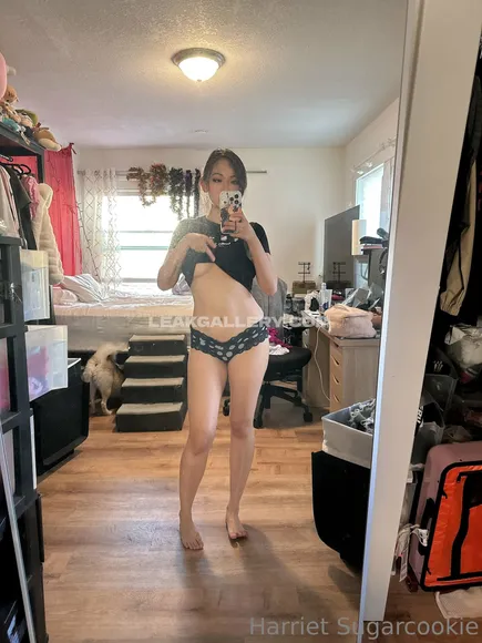 Harrietsugarcookie Exclusive Leaked Nude Onlyfans #1859935