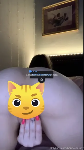Boudoirbunny Exclusive Leaked Nude Onlyfans #750666