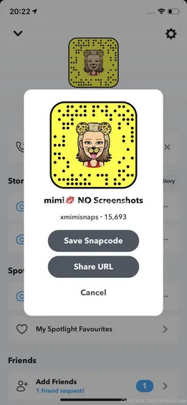 Xmimirose Exclusive Leaked Nude Onlyfans #180019