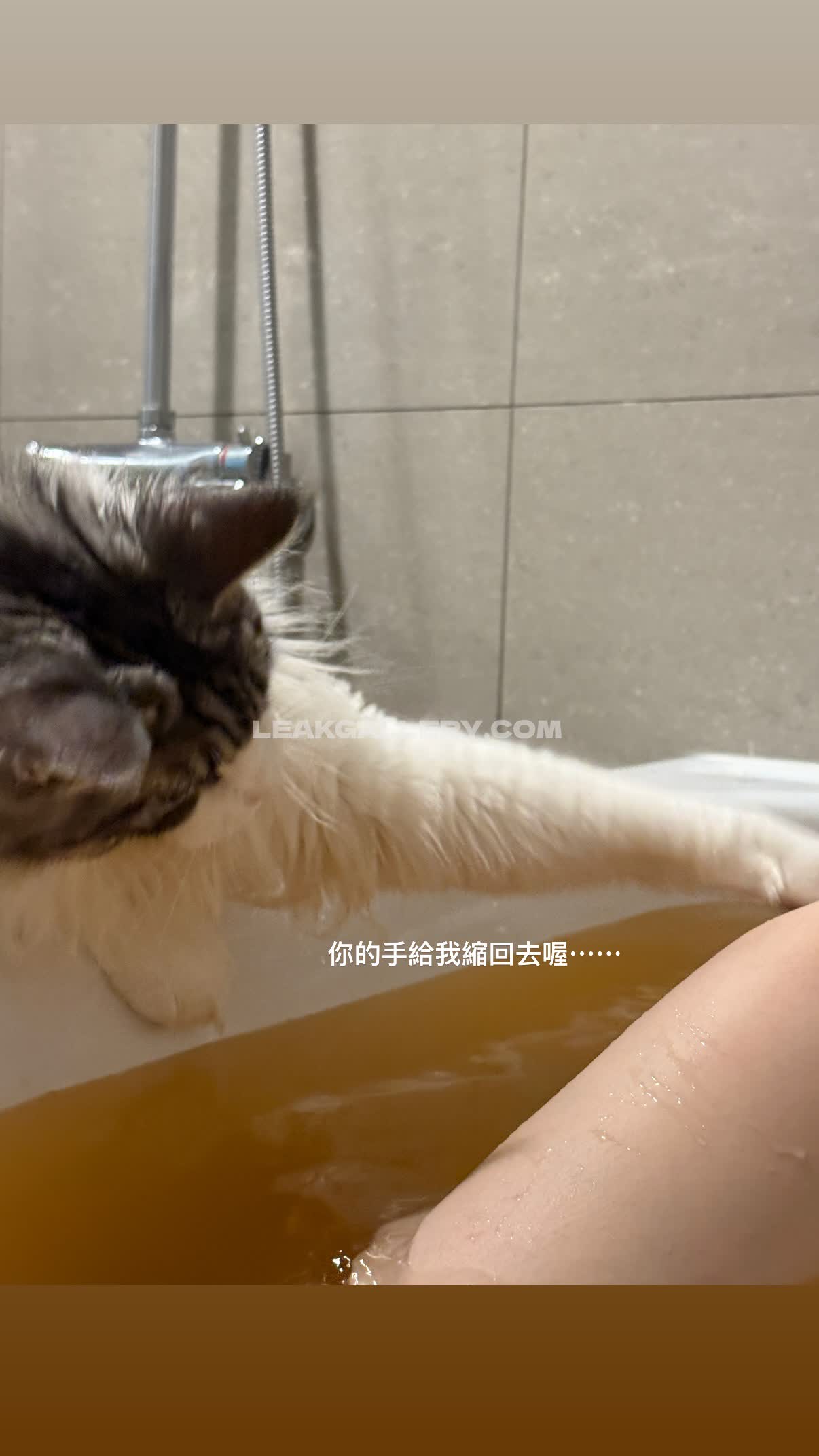Akaonikou Exclusive Leaked Nude OnlyFans #7841871