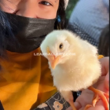 Akidearest Exclusieve gelekte naaktcontent van OnlyFans #7506836