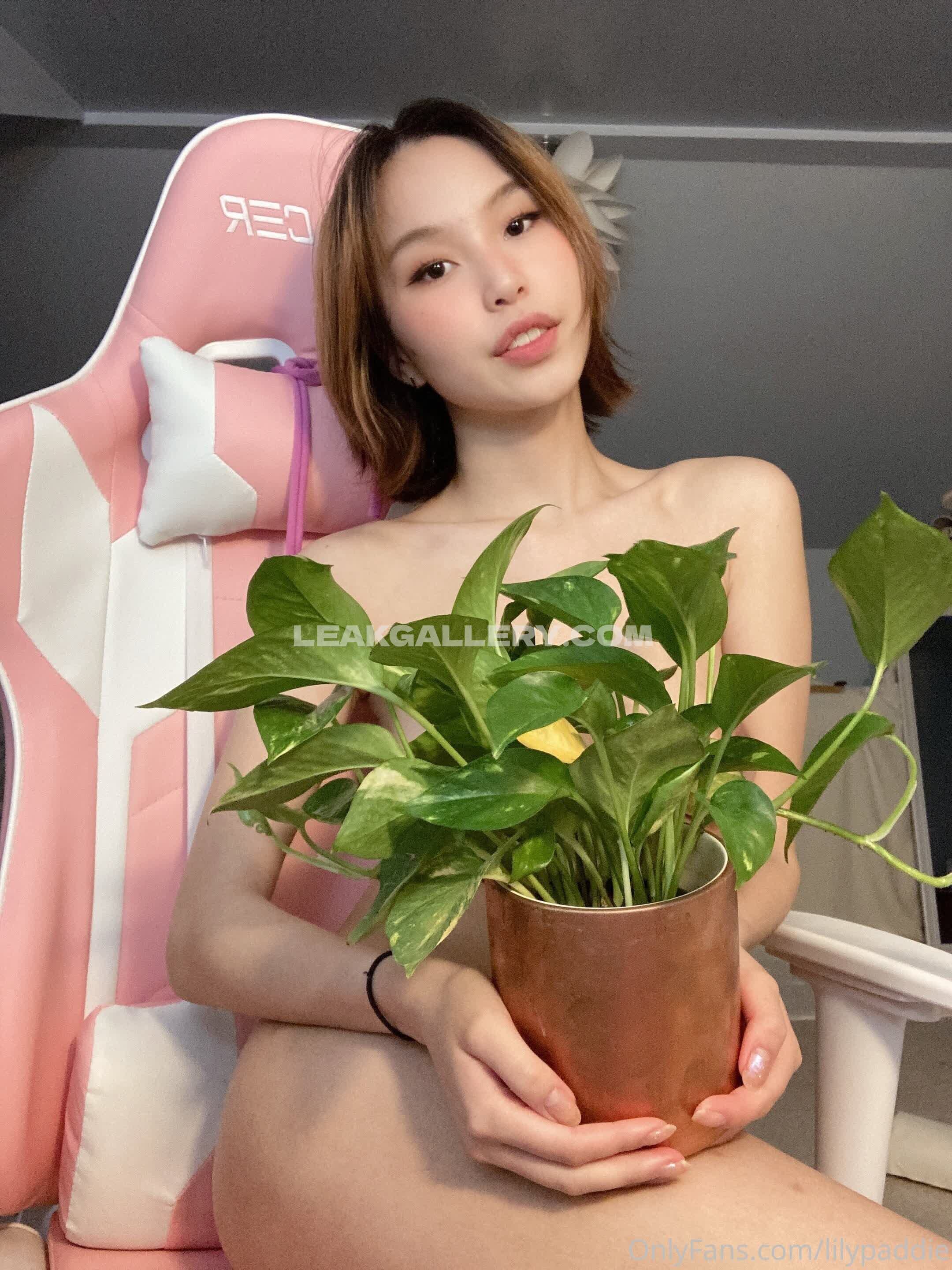 Animelily OnlyFans Nudi in Esclusiva Trapela #4699001