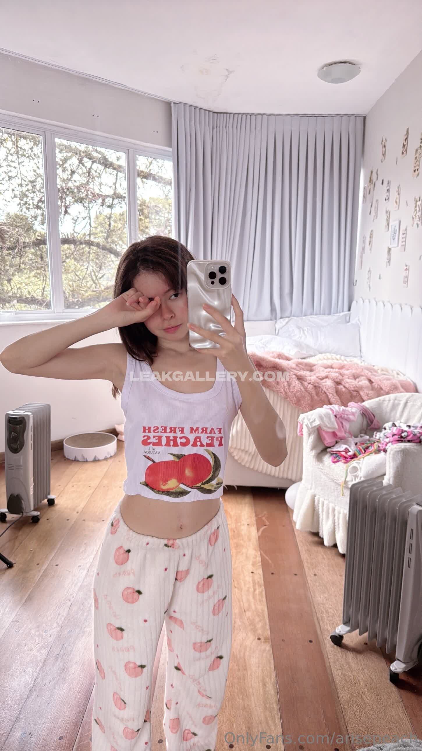 Arisepeach Exclusive Leaked Nude OnlyFans #7969933
