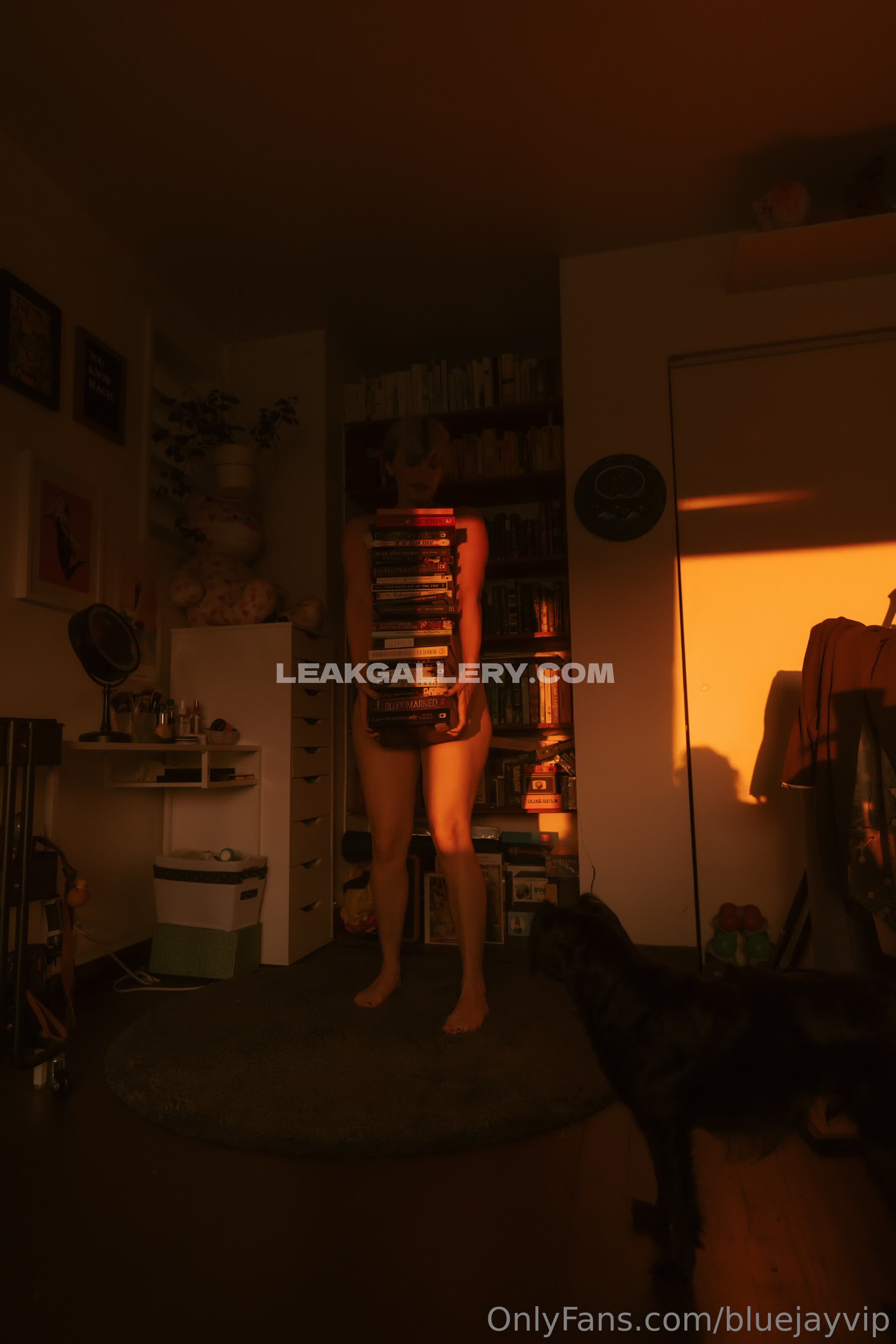 Bluejayafterdark OnlyFans Nudi in Esclusiva Trapela #7219915