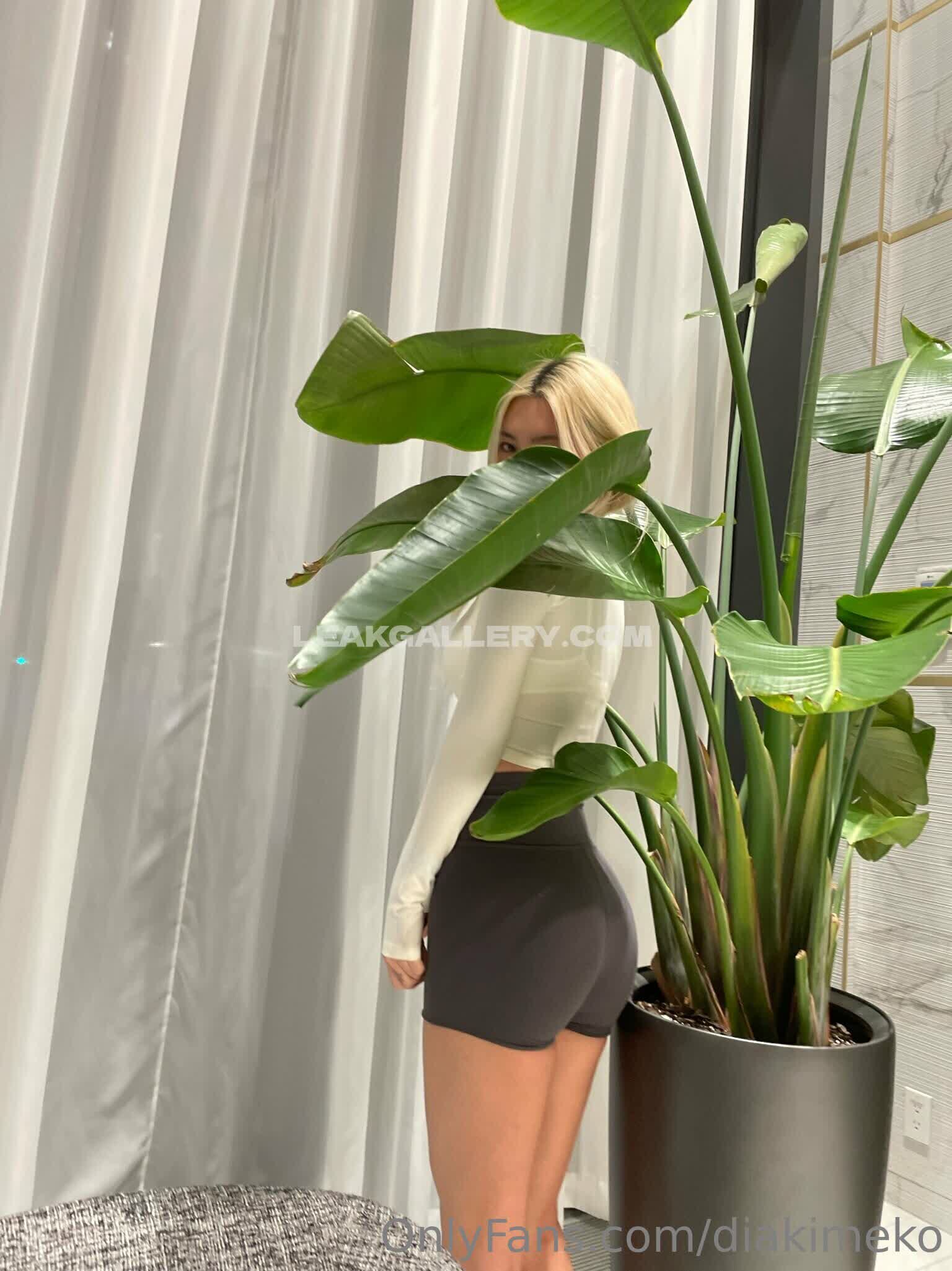 Diakimeko Exclusive Leaked Nude OnlyFans #4762356