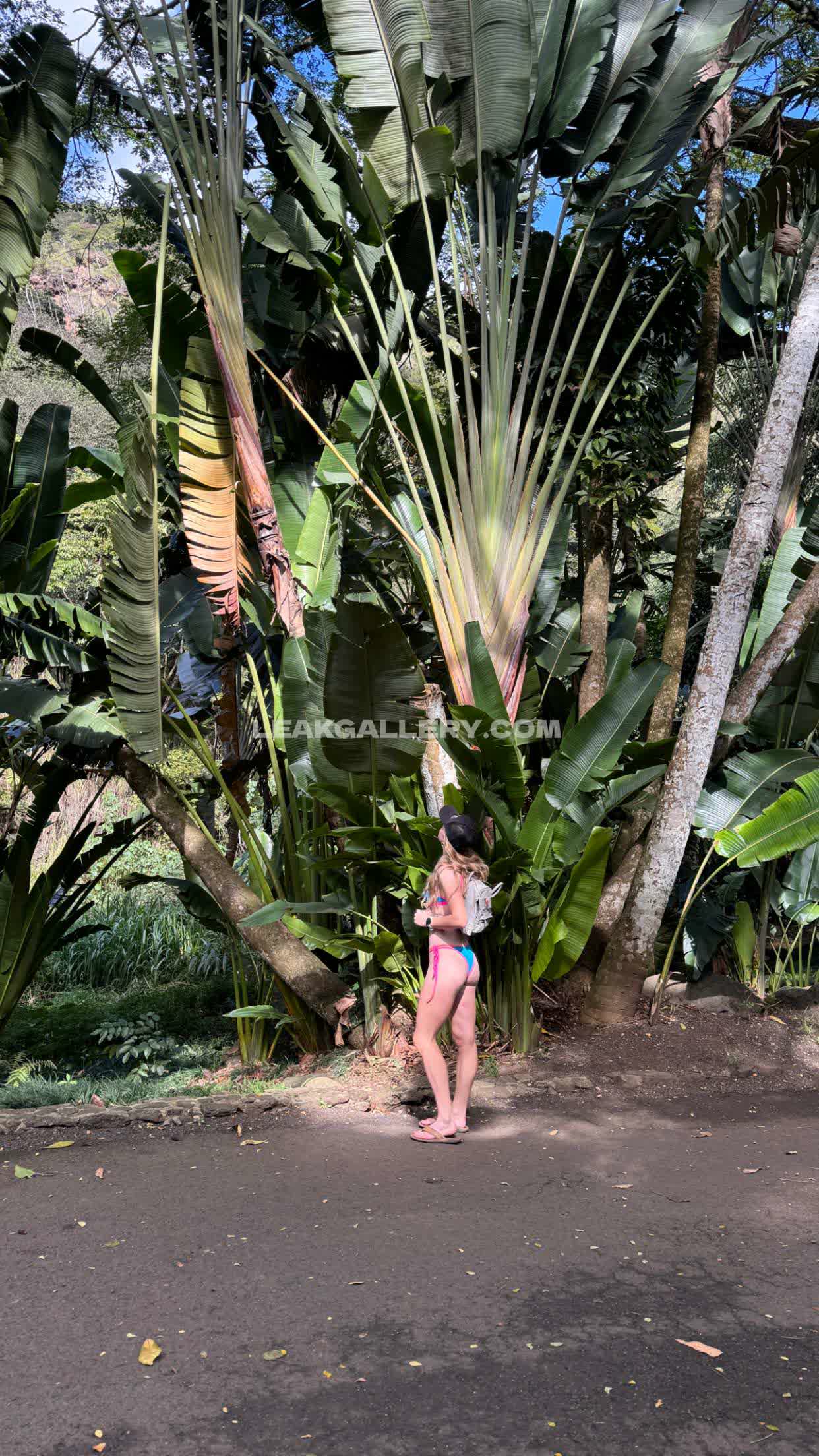 Gracecharis Exclusive Leaked Nude OnlyFans #4821150