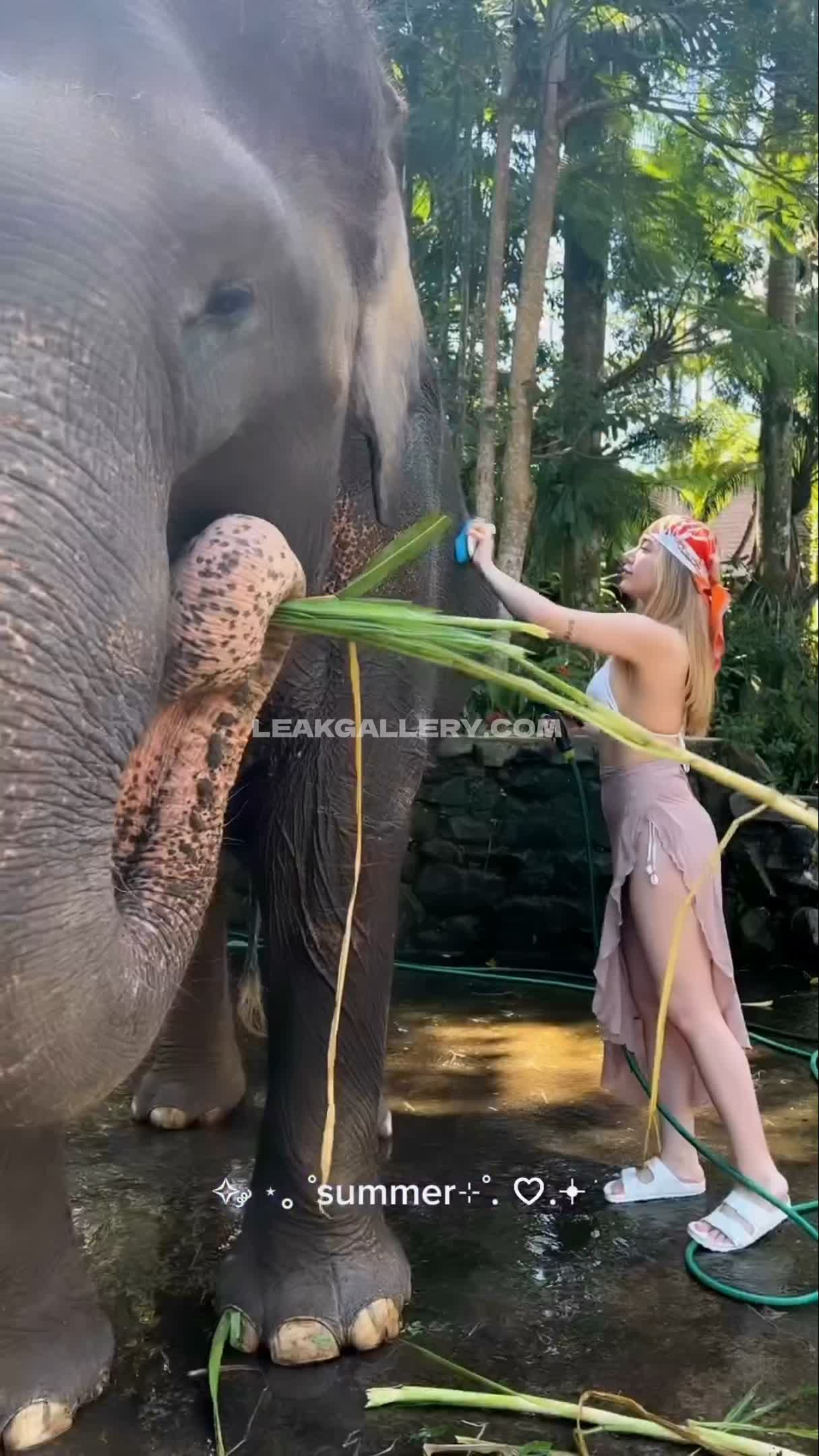 Miafitz Exklusiv geleakte Nacktbilder von OnlyFans #7867391