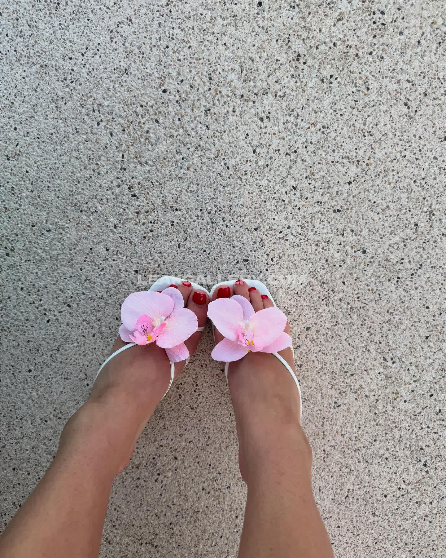 Myfavoritewants / sarabellaharriss / sexiisariii777 Exclusive Leaked Nude OnlyFans #3867973