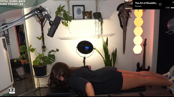 palmbeee video thumbnail