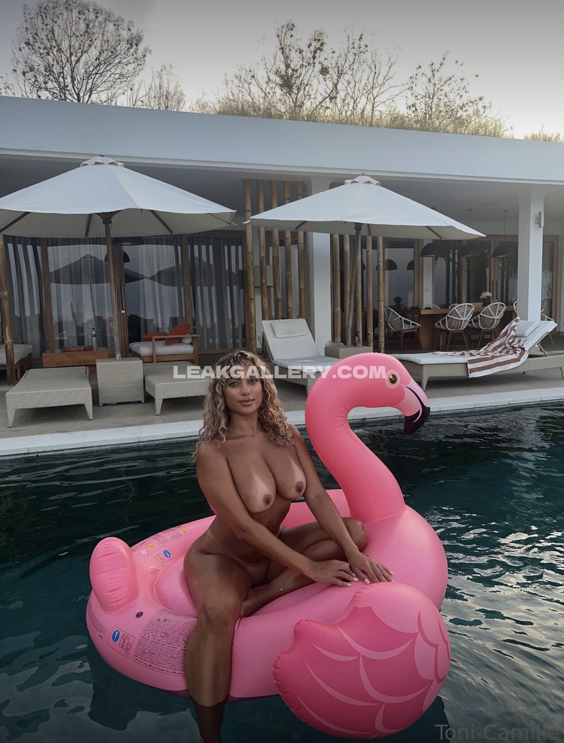 Tonicamille Exclusive Leaked Nude OnlyFans #8299779