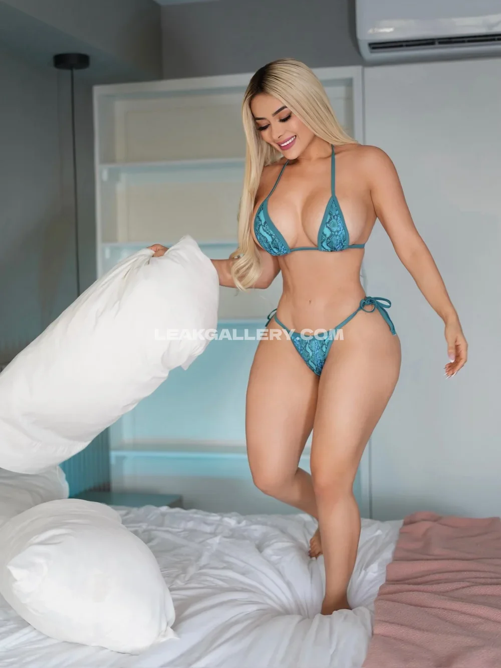 alemiarojas