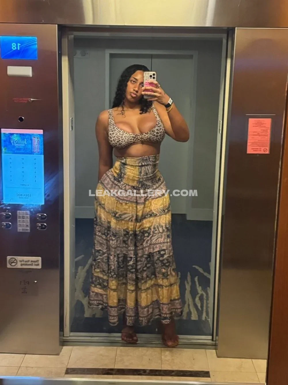 Angelferrnandezz Leopard Bra Selfie In Elevator OnlyFans Photo Leaked