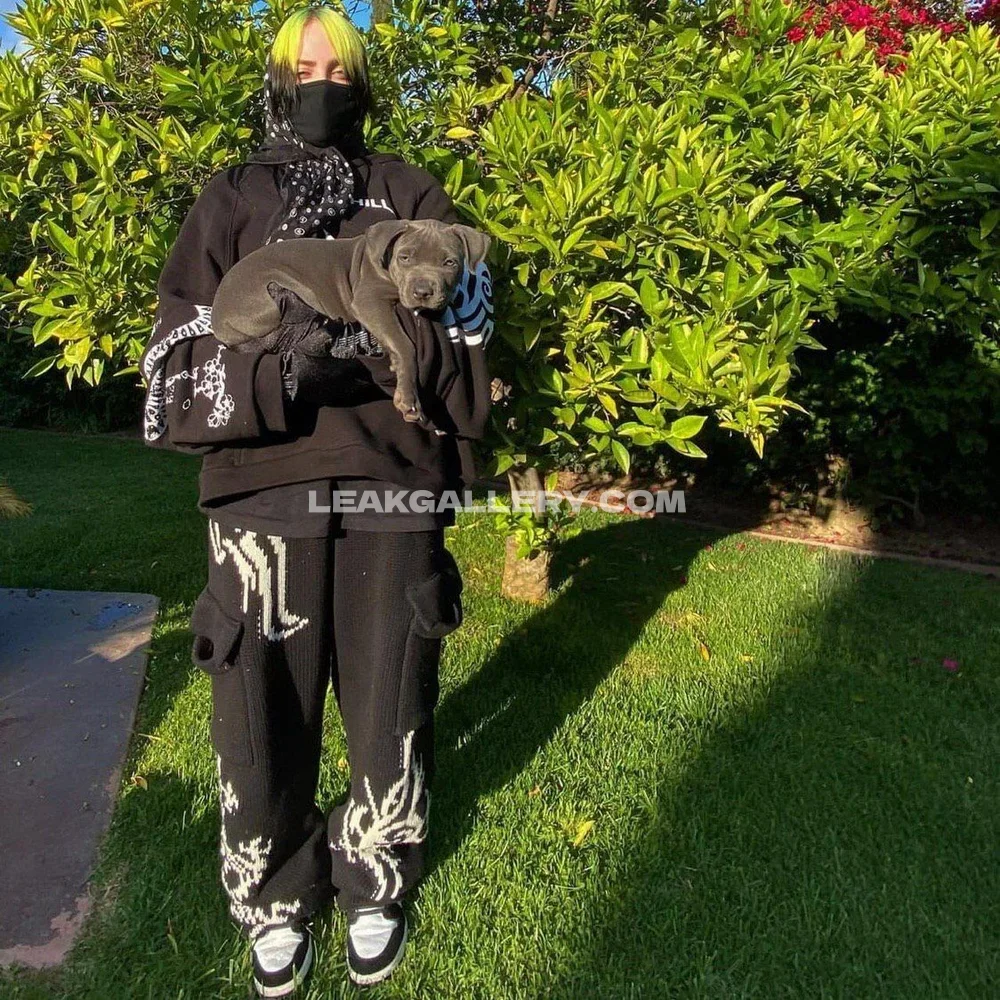 Billie_eilish Full Body Hoodie Pose OnlyFans Photo Leaked