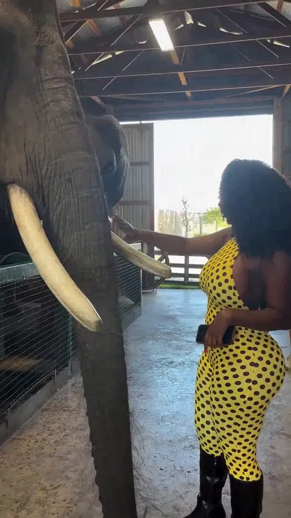 Bimbonique Yellow Polka Dot Jumpsuit OnlyFans Video Leaked