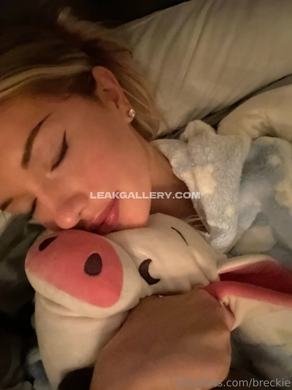 Breckie / breckiehill Exclusieve gelekte naaktcontent van OnlyFans #13536588