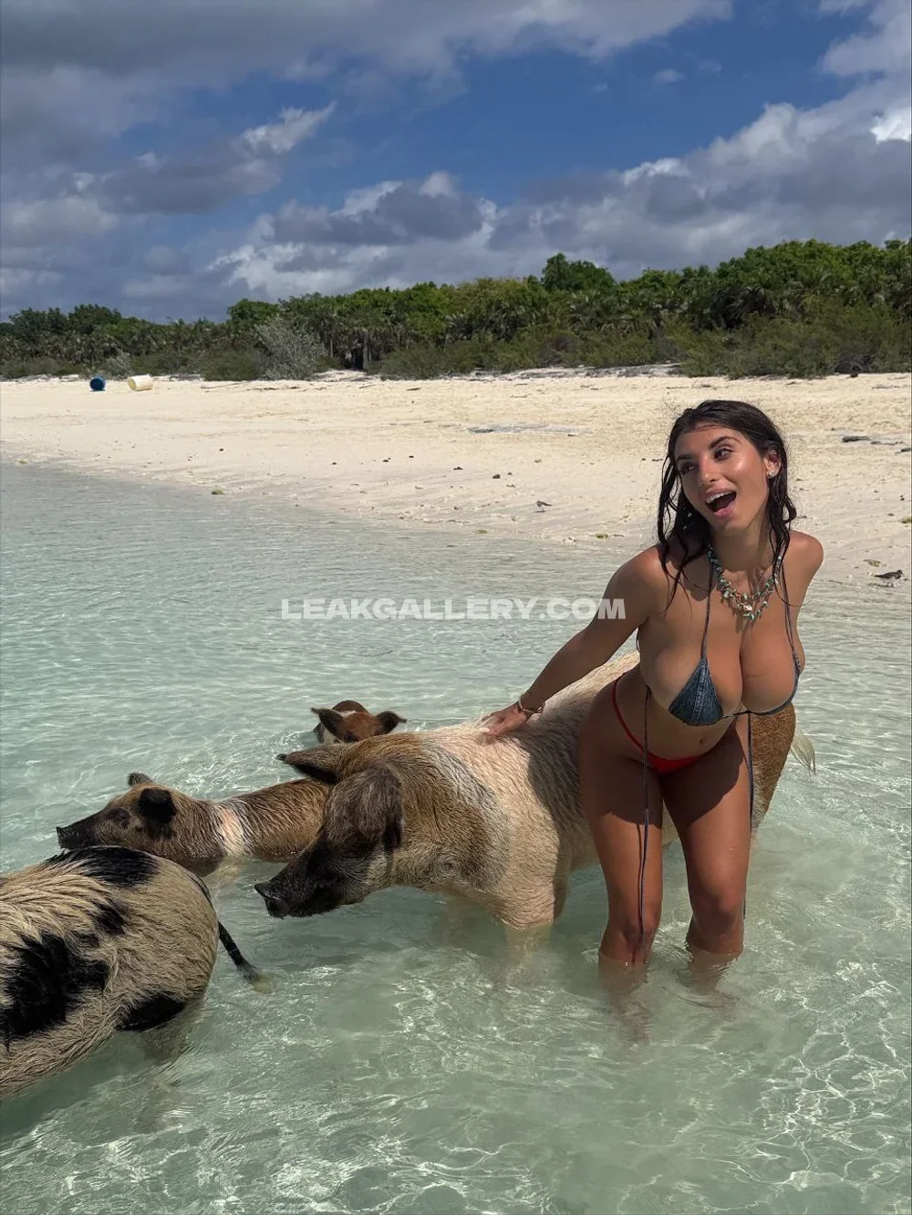 Bufalika Beach Pig Interaction OnlyFans Photo Leaked