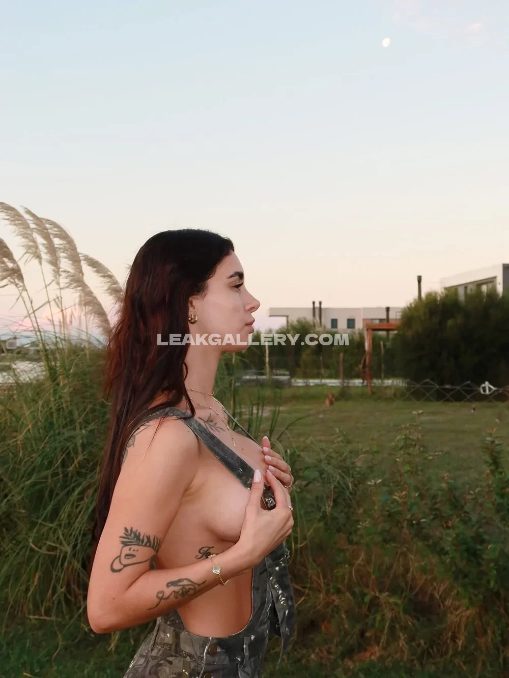 Camnairx Topless Outdoor Side Profile OnlyFans Photo Leaked