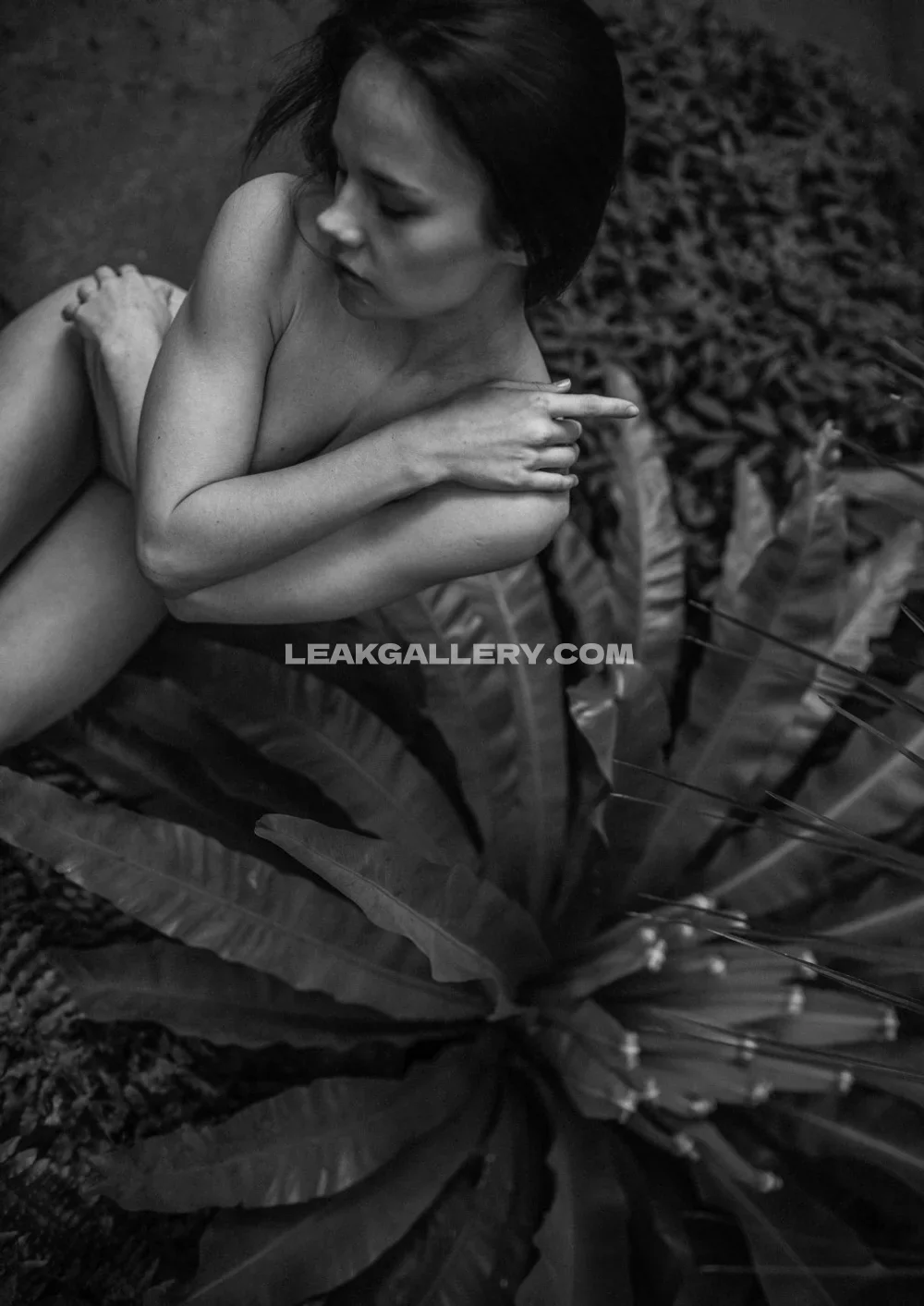 Dara_koval Naked Crouching Pose OnlyFans Photo Leaked