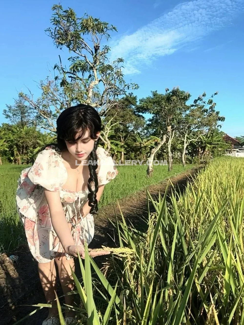Ejahazel Floral Dress In Rice Field OnlyFans Photo Leaked