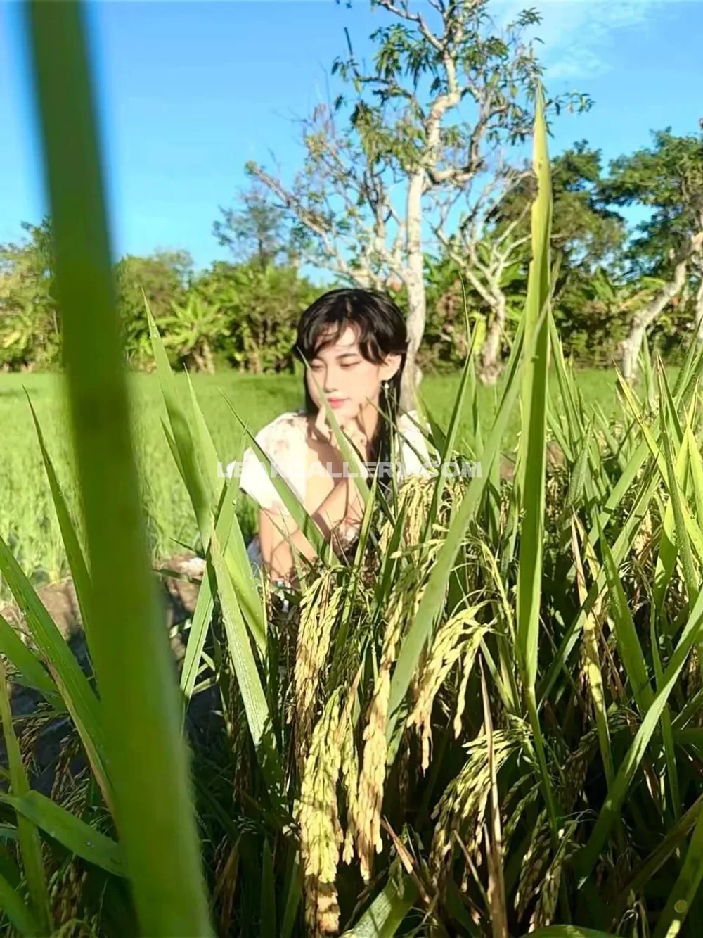 Ejahazel Floral Dress In Rice Field OnlyFans Photo Leaked