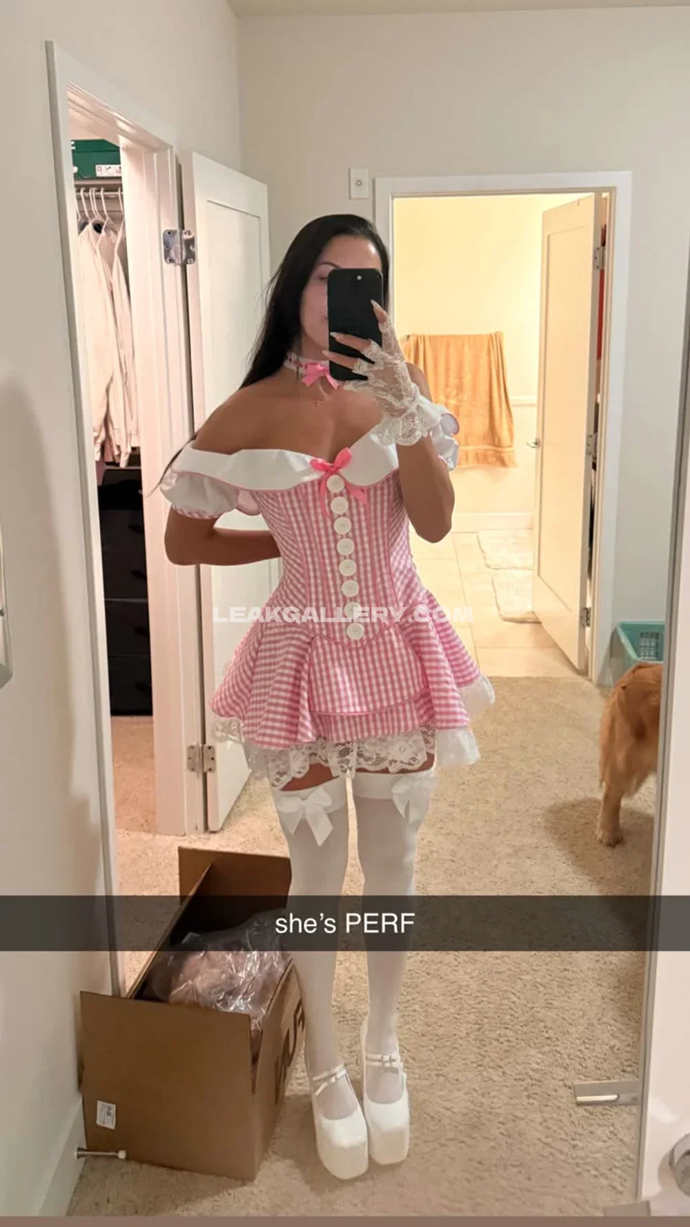 Isabela.adele Pink Gingham Maid Outfit OnlyFans Photo Leaked