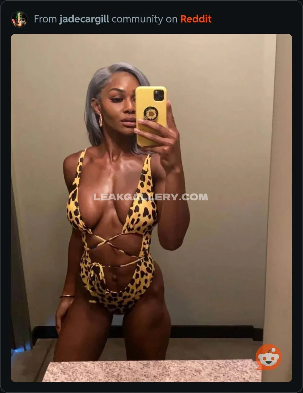 Jadecargill Leopard Print Swimsuit Mirror OnlyFans Photo Leaked