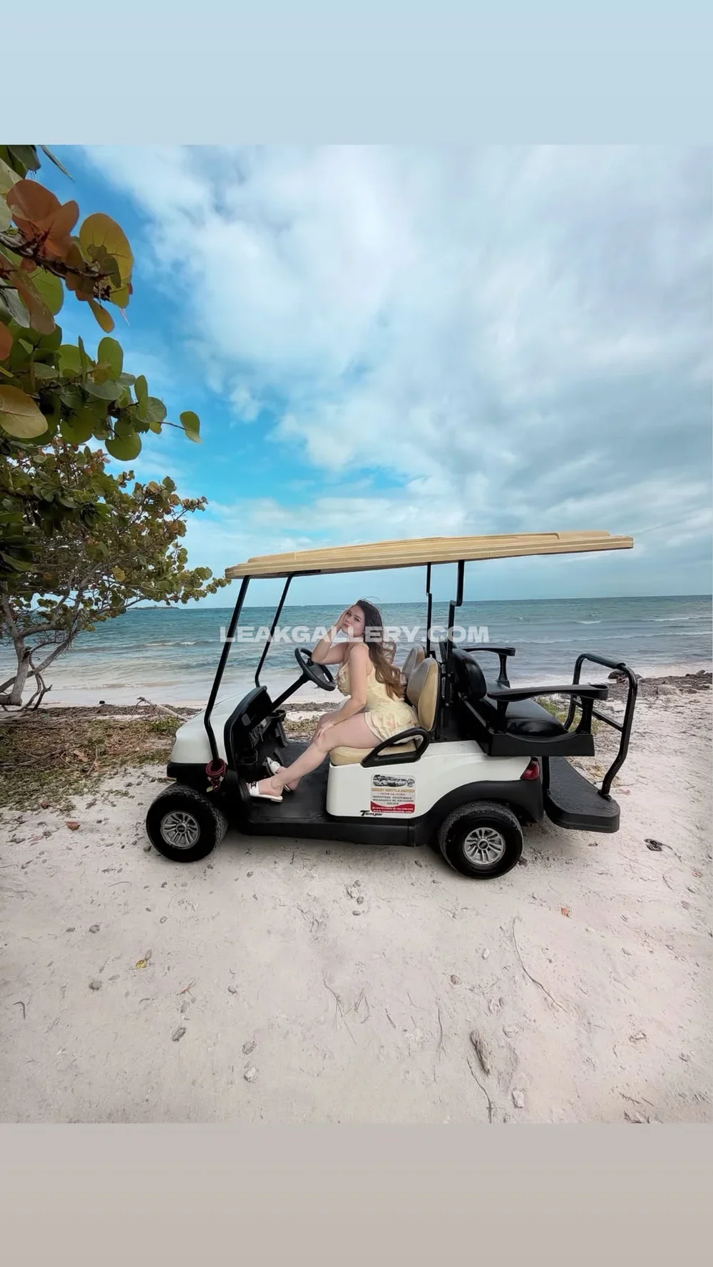 Jasmin.reyeshn Beach Golf Cart Tease OnlyFans Photo Leaked