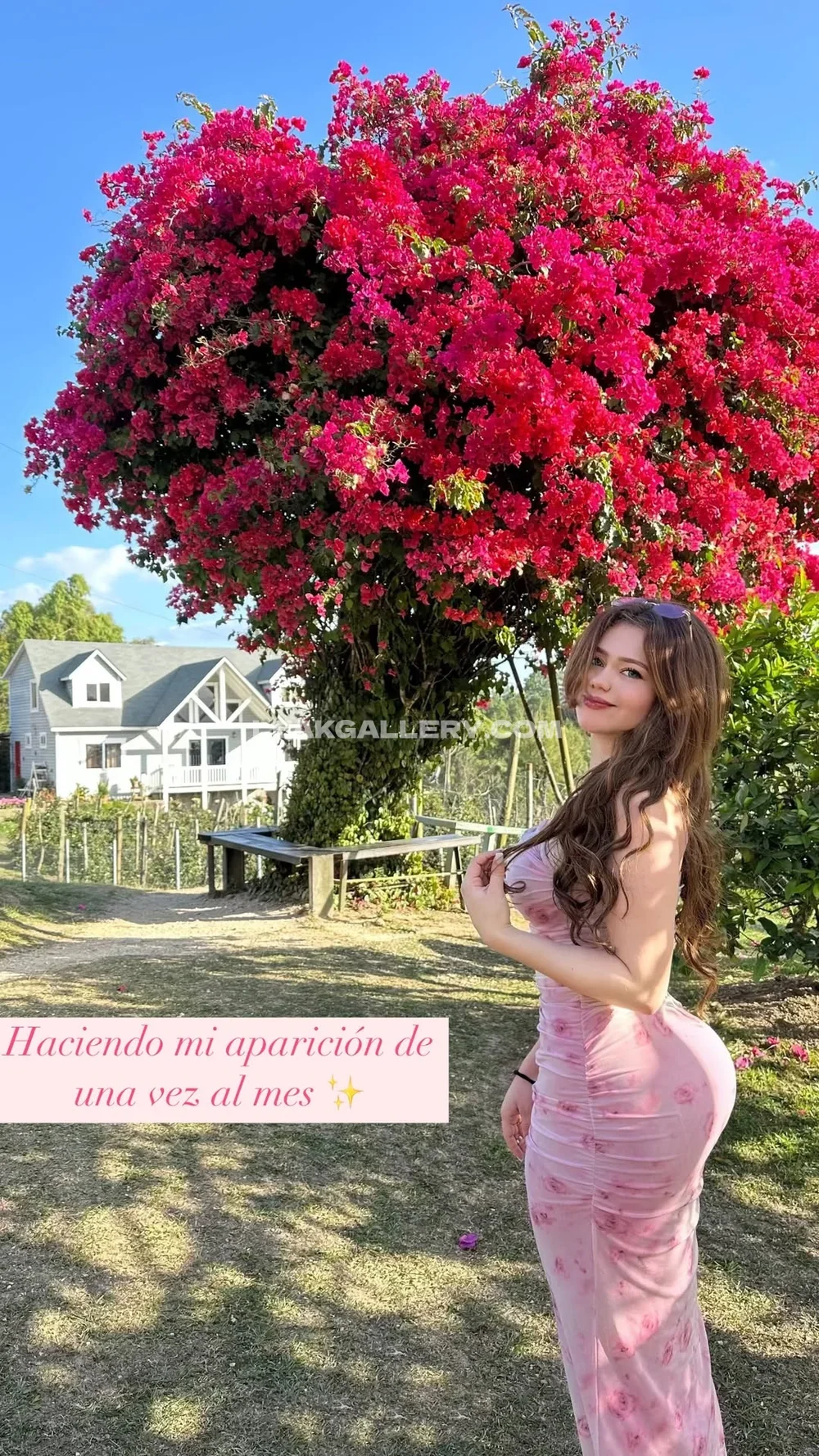 Jasmin.reyeshn Pink Dress Ass Pose OnlyFans Photo Leaked