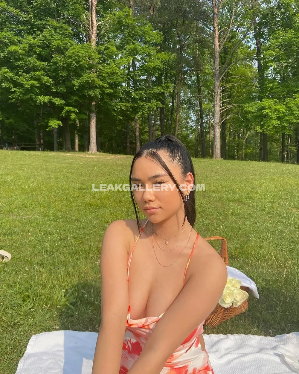 Joy Mei Low-Cut Dress Picnic Pose OnlyFans Photo Leaked