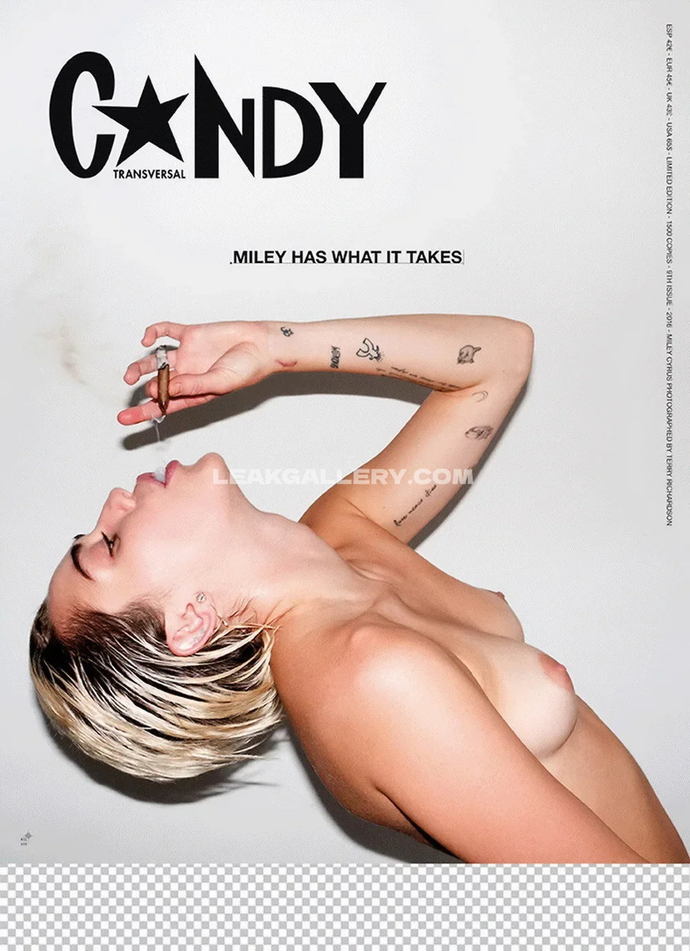 Mileycyrus Nude Magazine Cover Pose OnlyFans Photo Leaked