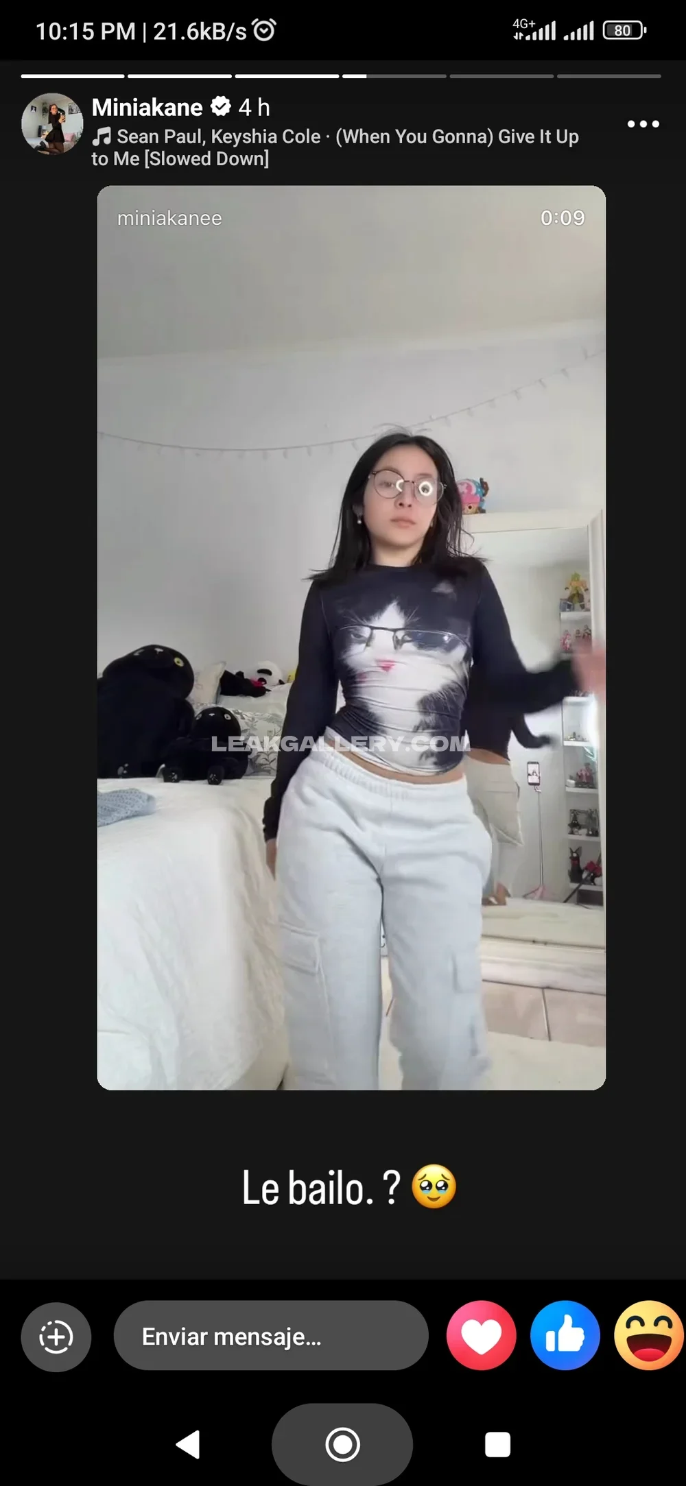 Miniakane_chavez Cat Print Crop Top OnlyFans Photo Leaked