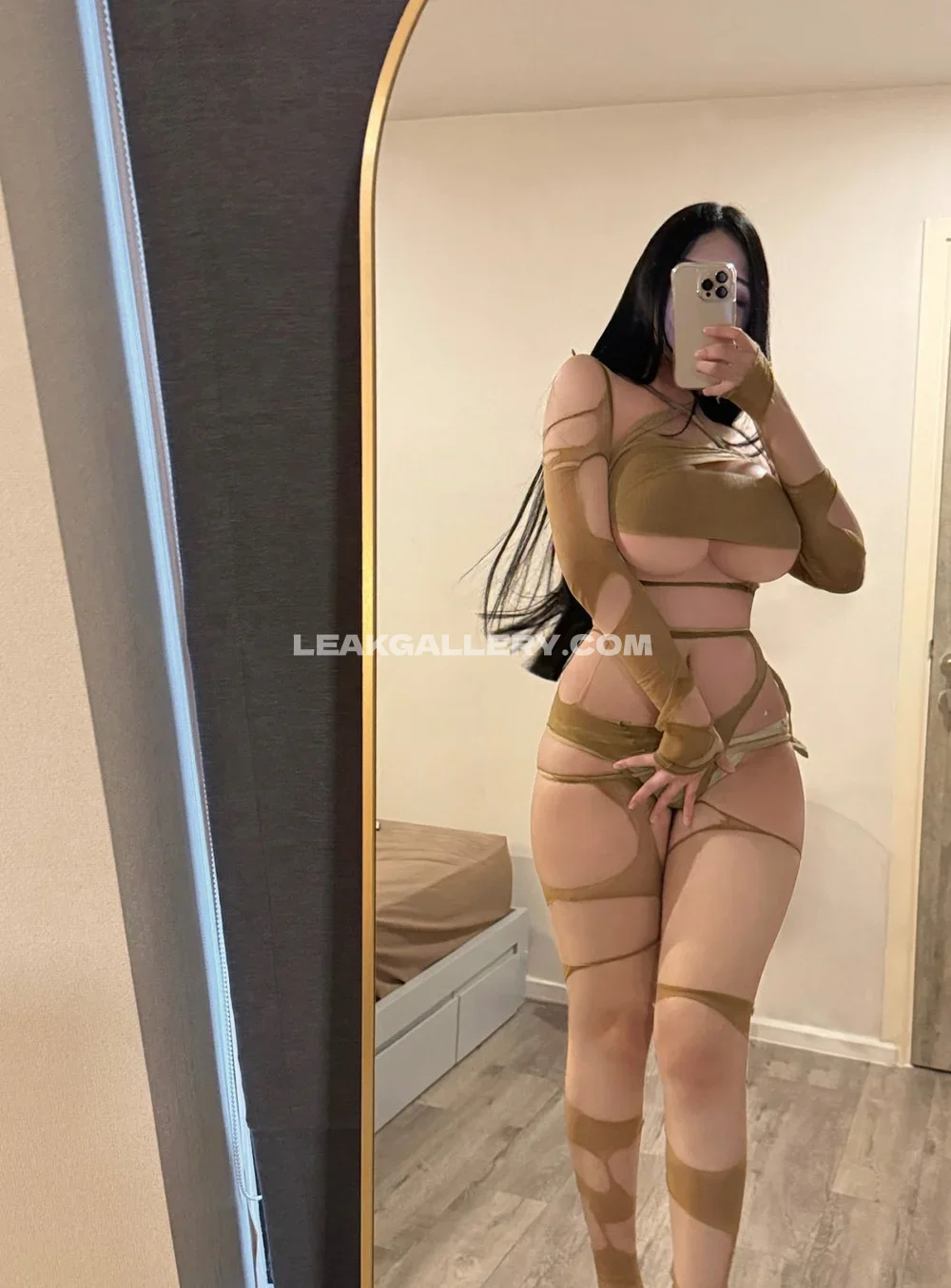 Mo_meowwwww Sheer Bodysuit Mirror Selfie OnlyFans Photo Leaked