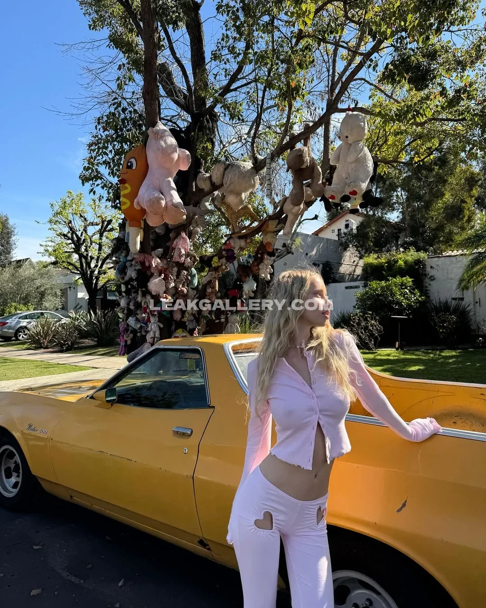 Newlolabunny Pink Crop Top Pose OnlyFans Photo Leaked