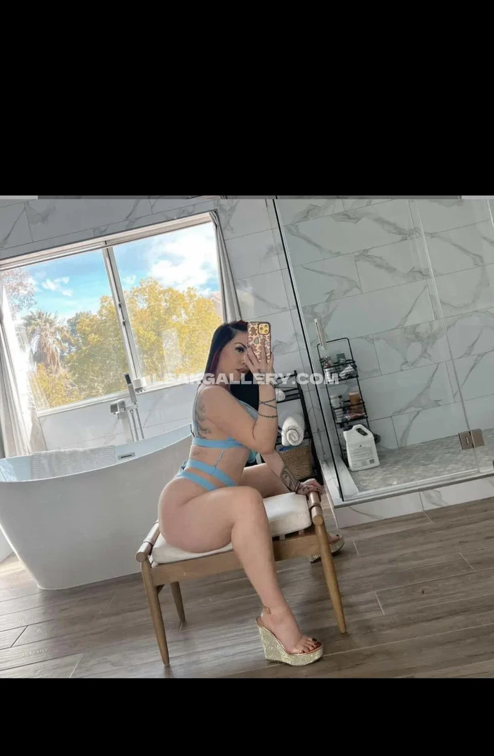 salicerose