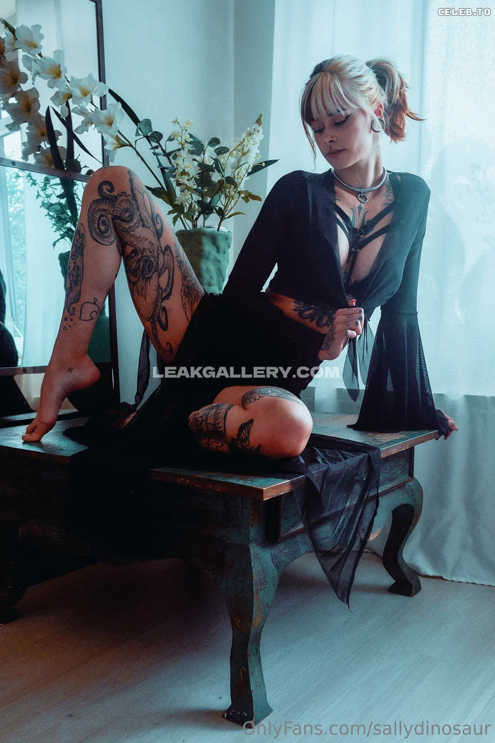 Sallydinosaur Exclusive Leaked Nude OnlyFans #13664141