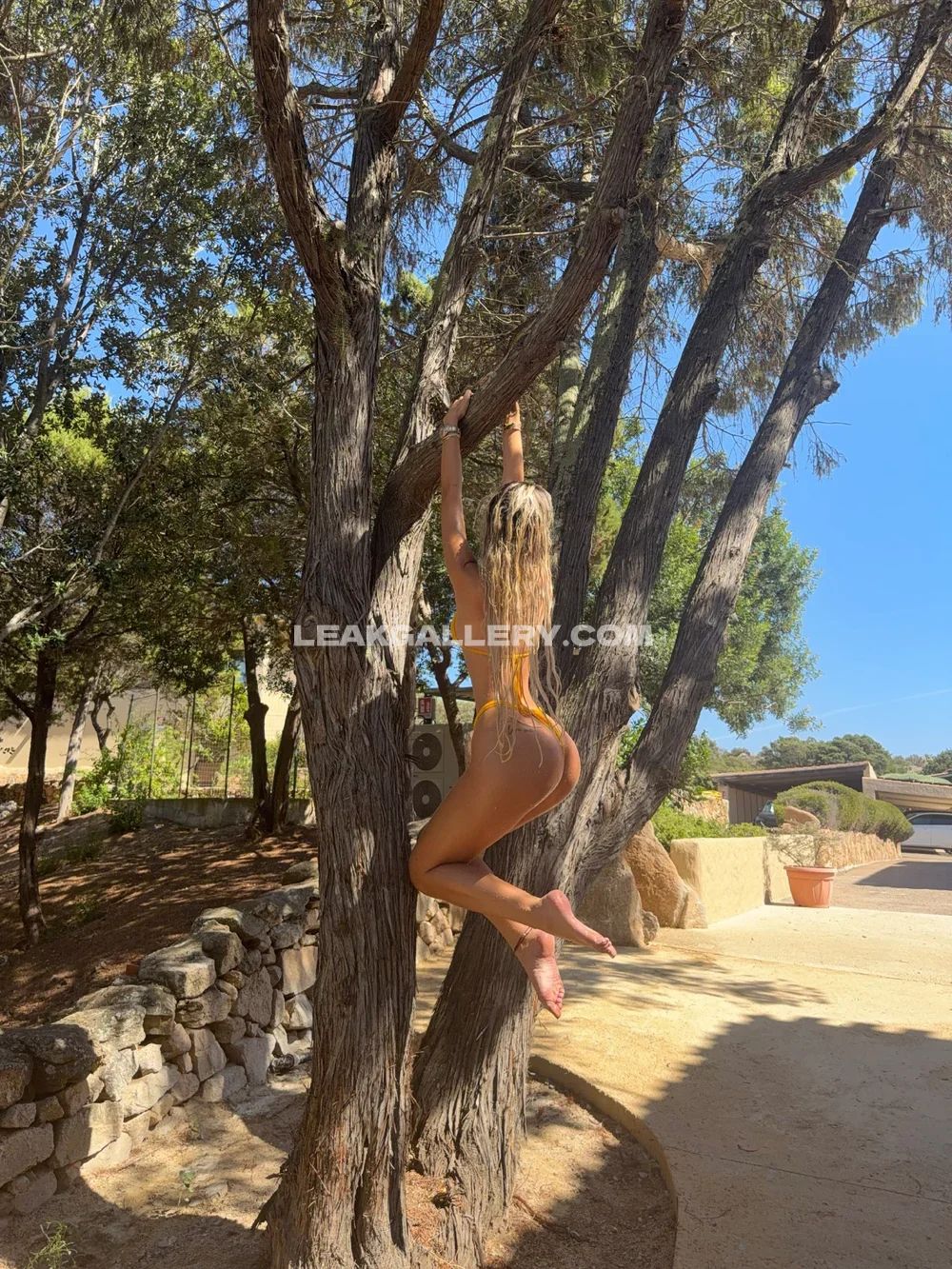 Samantra Naked Ass Tree Climb OnlyFans Photo Leaked