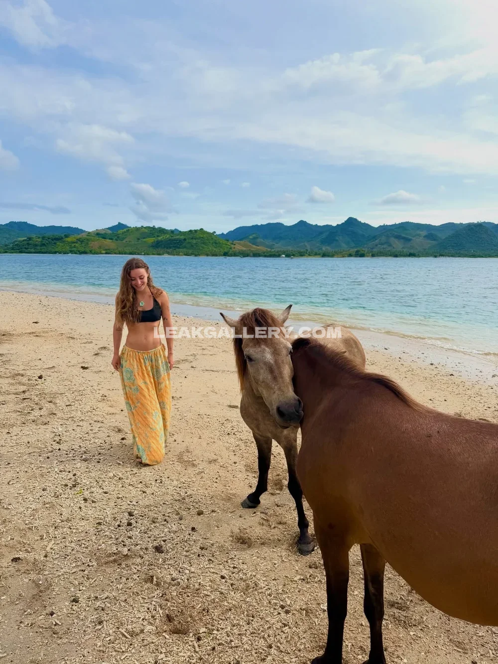 Sofiasurfers Beach Stroll With Horses OnlyFans Photo Leaked