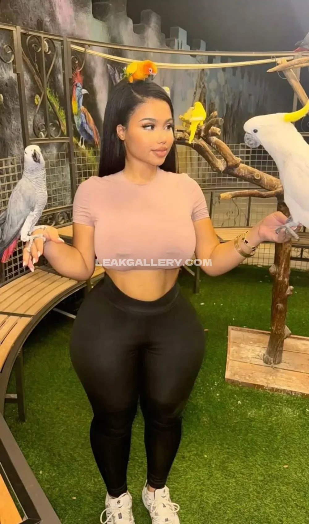 Tootatis Birds Perched On Arms OnlyFans Photo Leaked