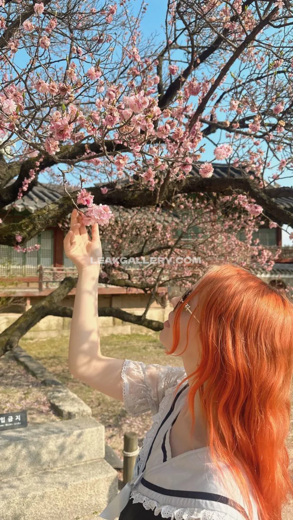 Youraldora Cherry Blossom Garden Pose OnlyFans Photo Leaked