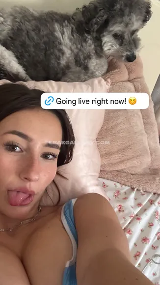 Whipitdev / nnevelpappermann Exclusive Leaked Nude Onlyfans #4739642