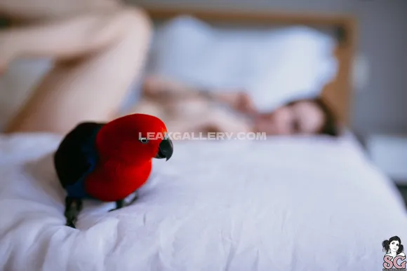 Daintywilder / danitywilder Exclusive Leaked Nude Onlyfans #3013997