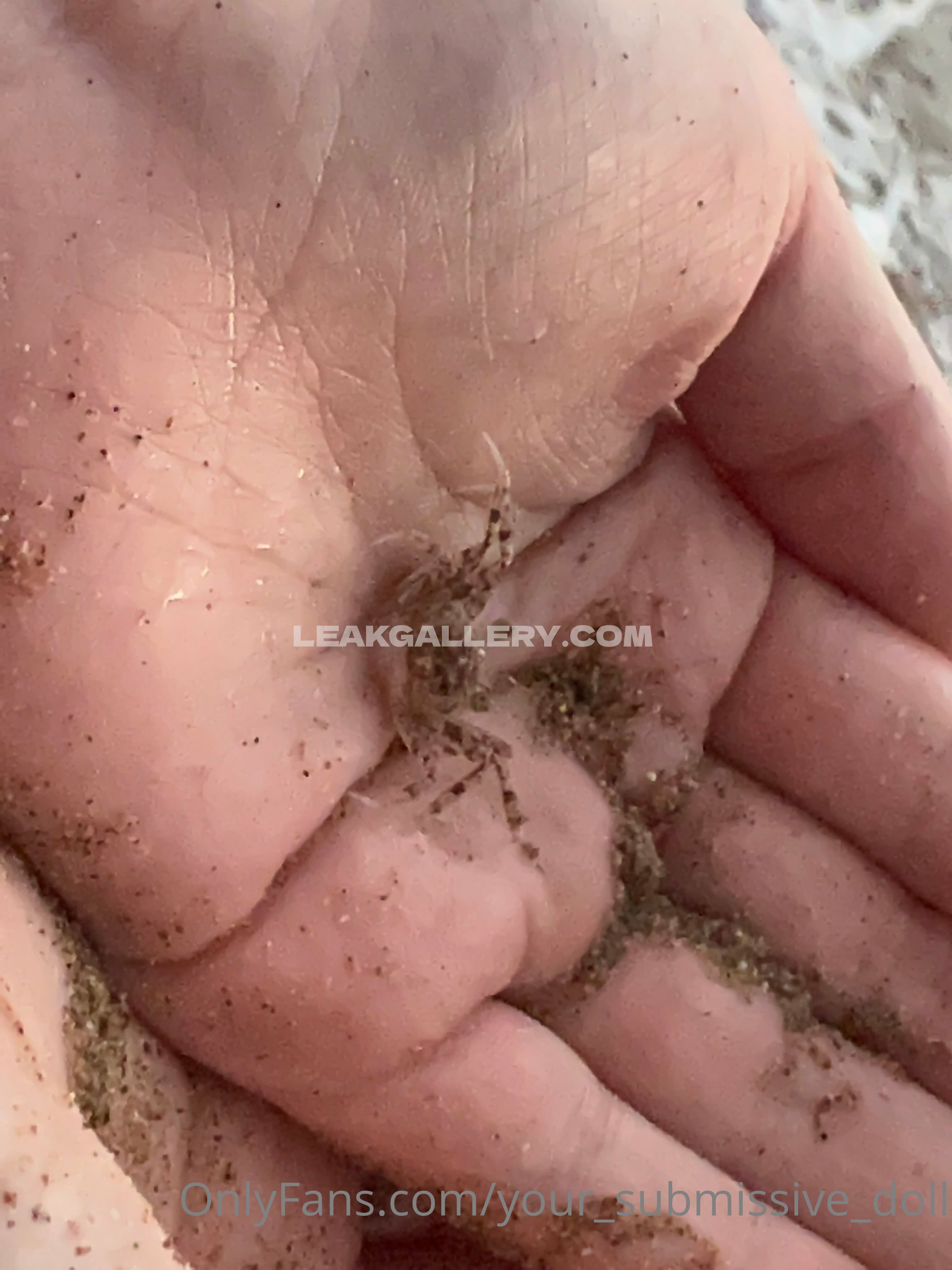 Your_submissive_doll Exclusive Leaked Nude OnlyFans #8278804