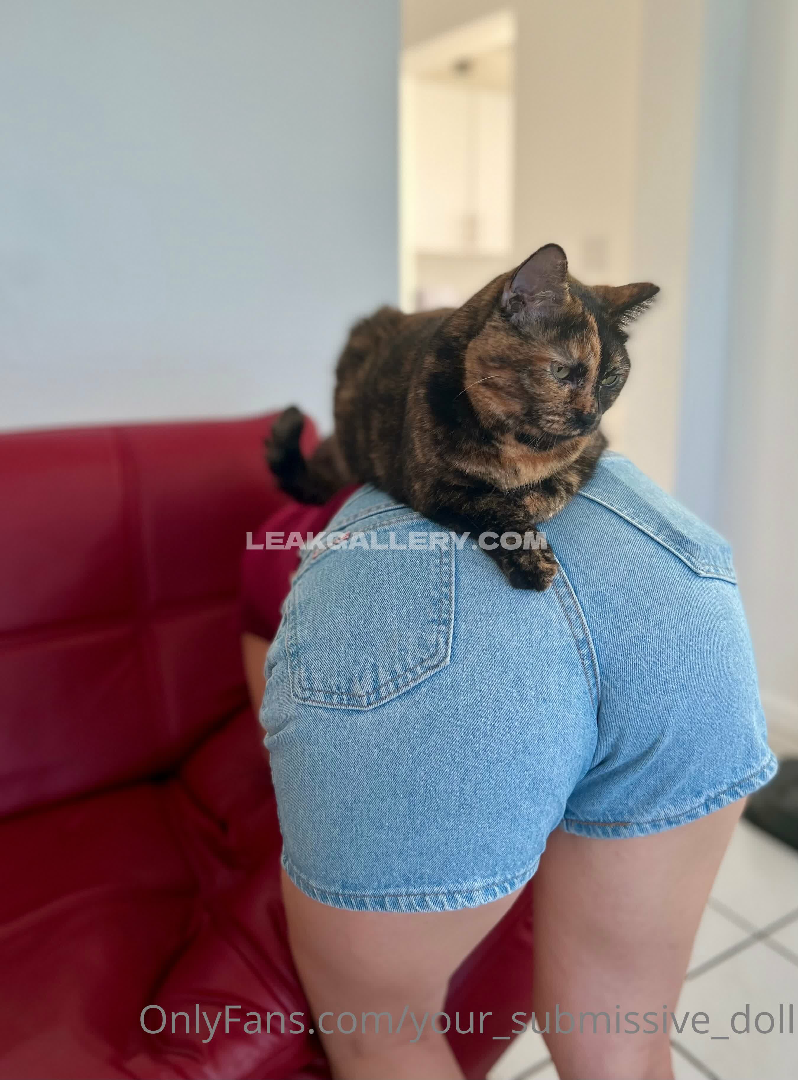 Your_submissive_doll Exclusive Leaked Nude OnlyFans #8283415